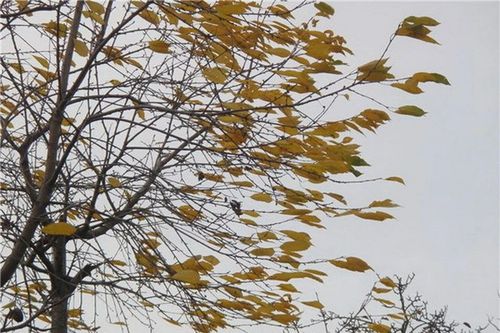 Фото ГУ МЧС России по Хакасии